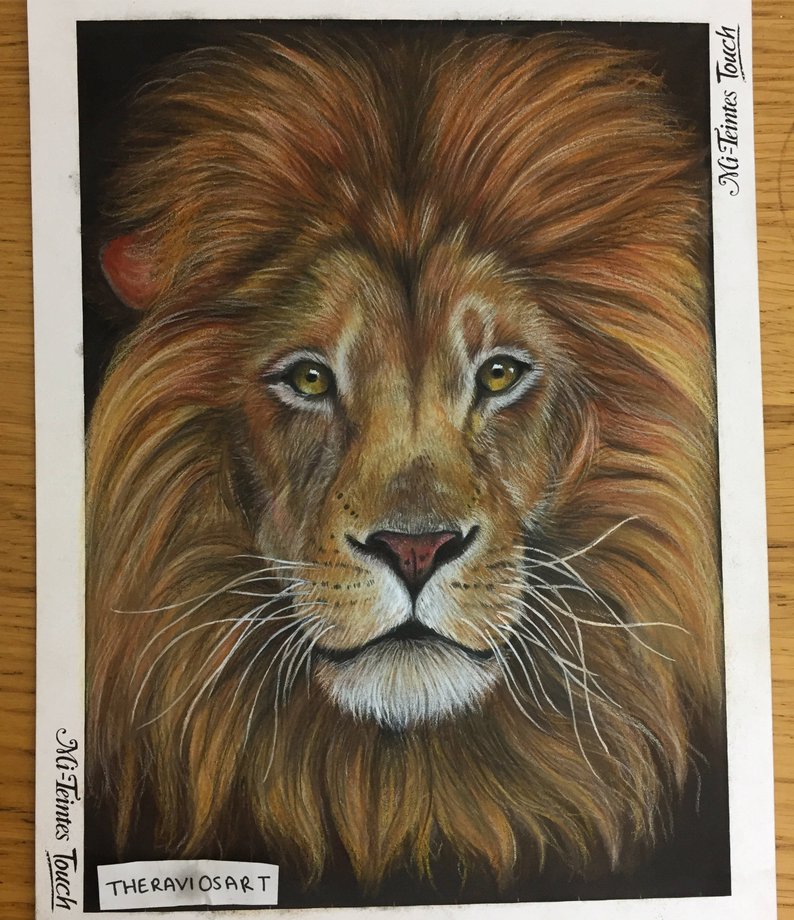 794x920 original lion portrait drawing pastel portrait art bespoke etsy - Lion Mane Drawing