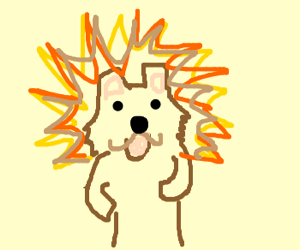 300x250 Pedobear With Multicolored Lion Mane Drawing - Lion Mane Drawing