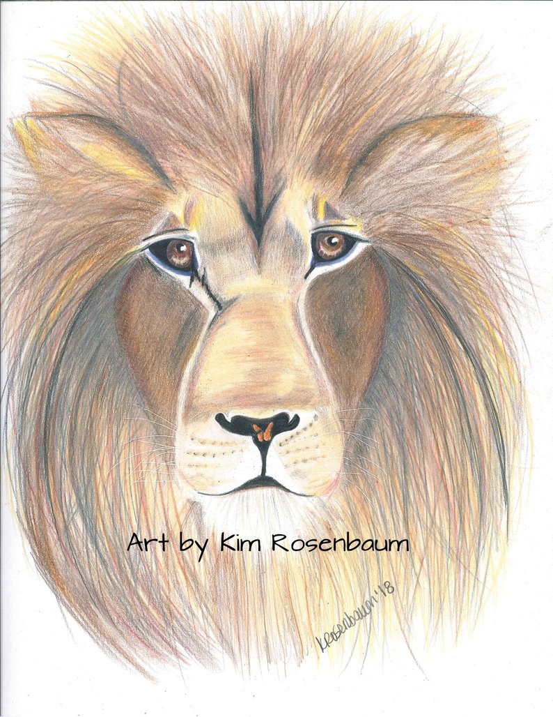 794x1028 rawr art print lion mane king jungle etsy - Lion Mane Drawing