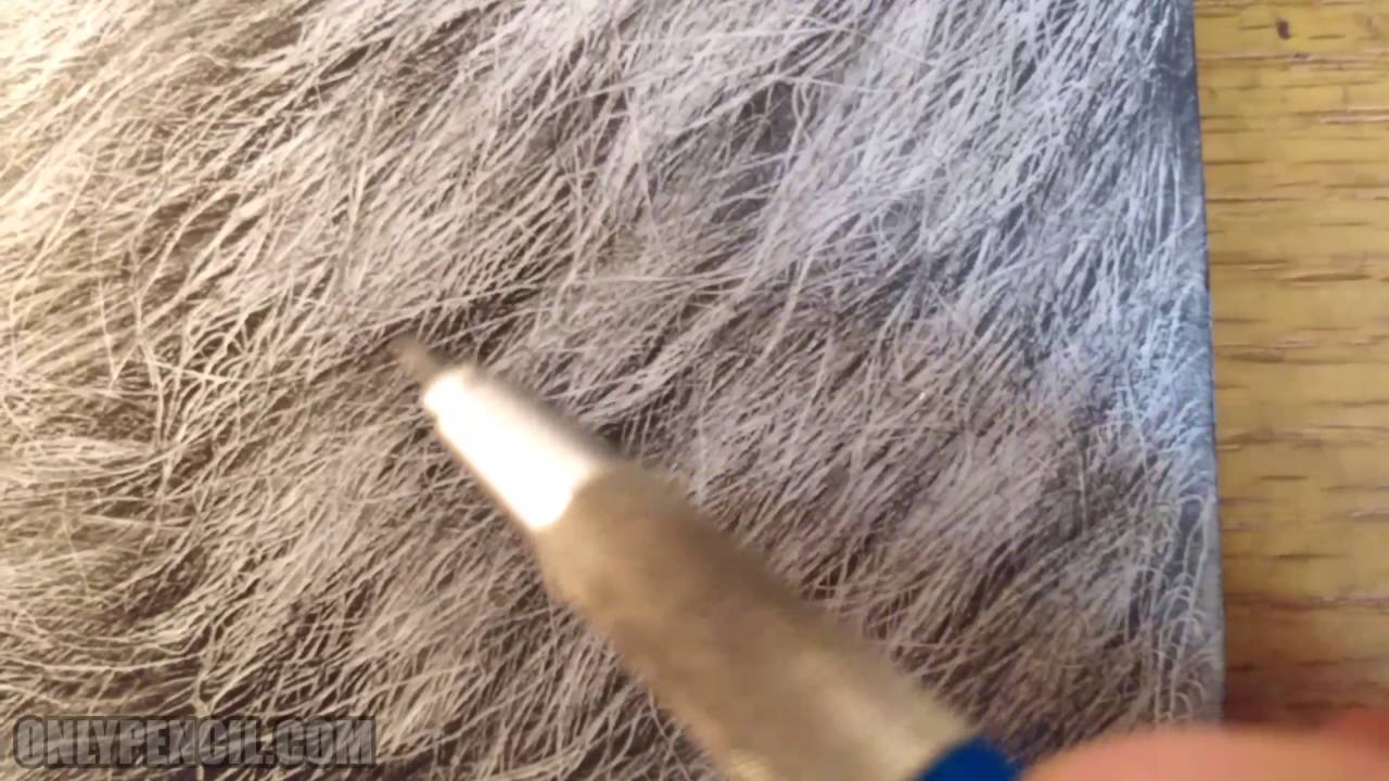 1280x720 Tutorial - Lion Mane Drawing