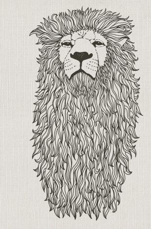 305x460 Lion Mane Pen Drawing - Lion Mane Drawing