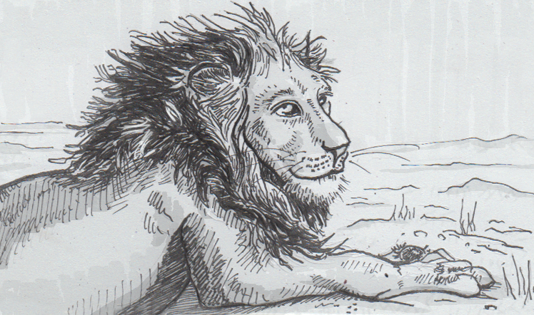 748x442 deducing the motivations behind a mighty lion's mane a new - Lion Mane Drawing
