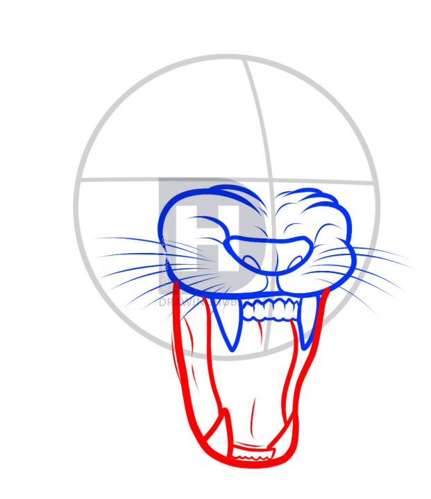 621x720 How To Draw A Lion Roaring, Roaring Lion, Step - Lion Mouth Drawing