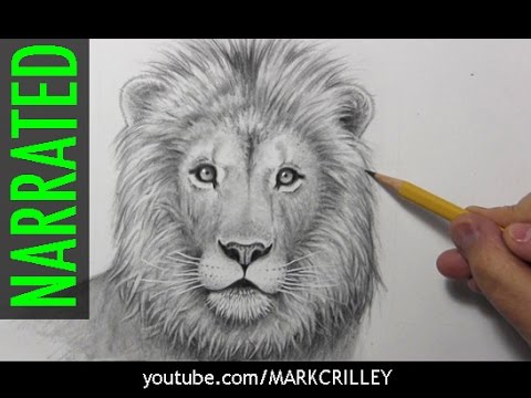 480x360 How To Draw A Lion - Lion Mouth Drawing