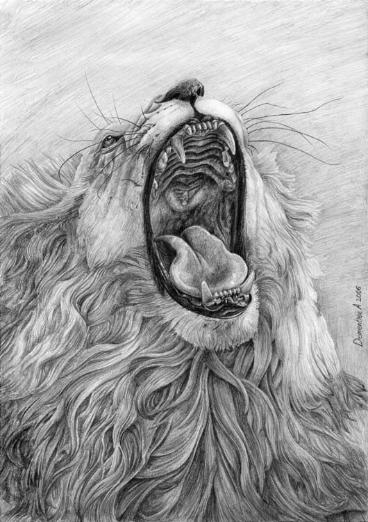 530x750 Lion's Mouth - Lion Mouth Drawing