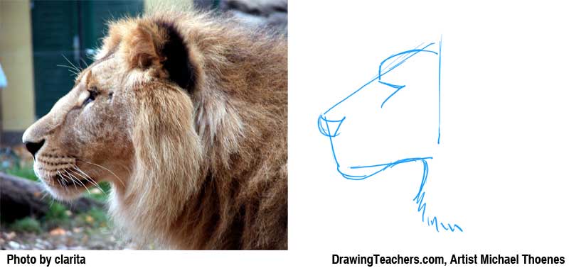 800x378 Lion Drawing - Lion Mouth Drawing