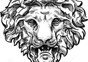 300x210 lion mouth open drawing best free lion mouth open drawing cdr - Lion Mouth Drawing