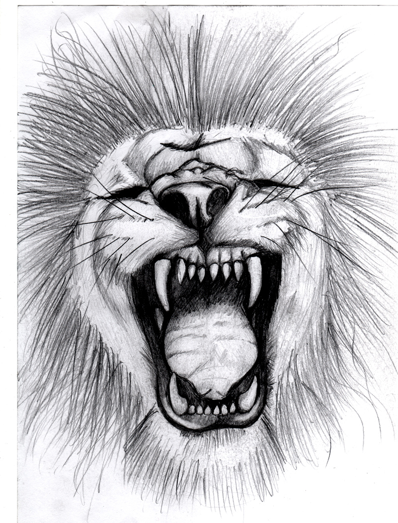 800x1051 Lion Drawing Open Mouth For Free Download - Lion Mouth Drawing