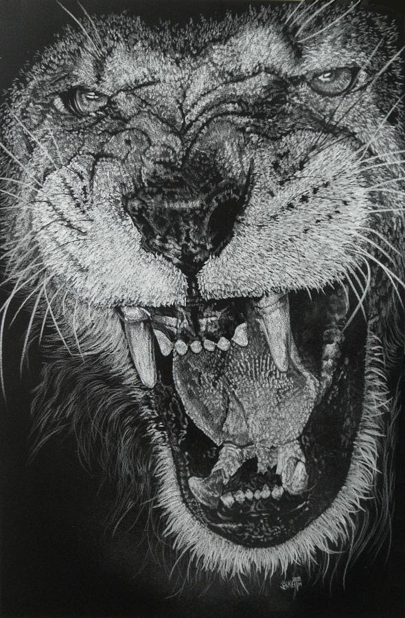 Lion Mouth Drawing at Explore collection of Lion