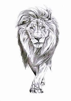 236x336 Rough Sketch Drawing Of A Lion With Its Mouth Open Unique Bear - Lion Mouth Drawing