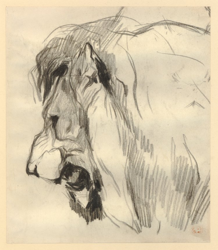 750x858 British Museum - Lion Mouth Drawing