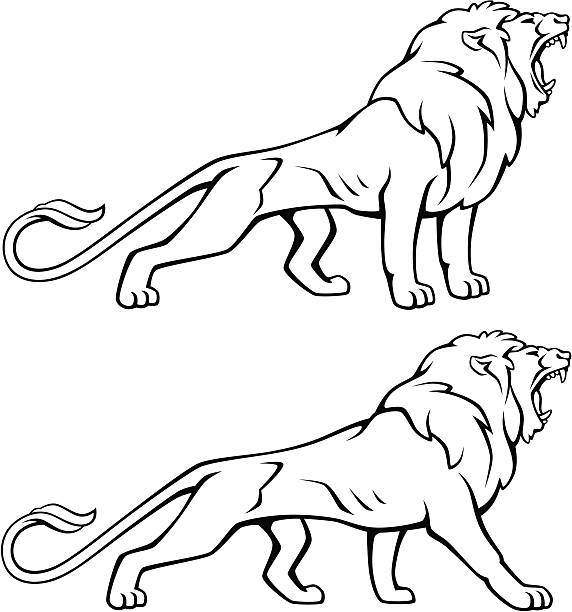 572x612 Clipart Lion Open Mouth Collection - Lion Mouth Drawing