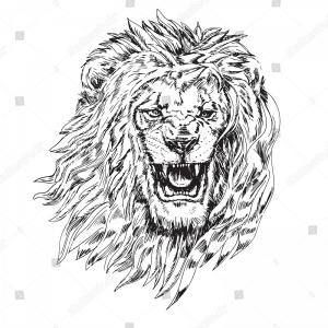 300x300 Head Lion Open Mouth Teeth Drawing Shopatcloth - Lion Mouth Open Drawing