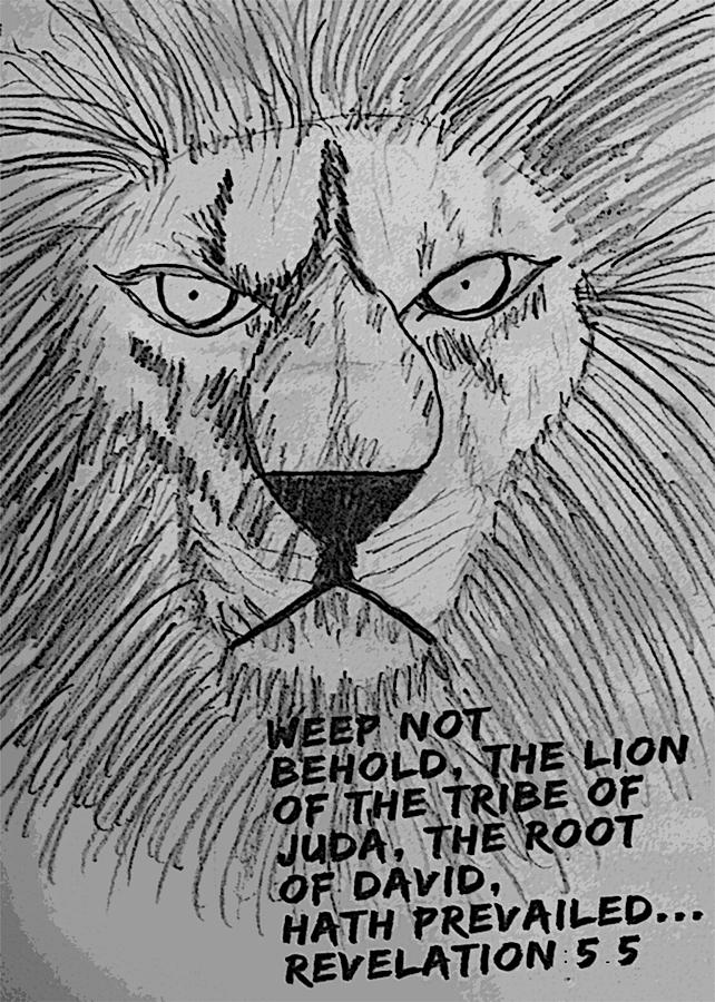642x900 Lion Of Judah Drawing - Lion Of Judah Drawing