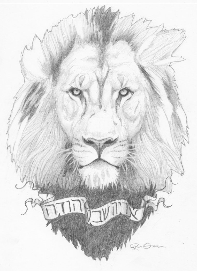 Lion Of Judah Drawing - Lion Of Judah Drawing. 