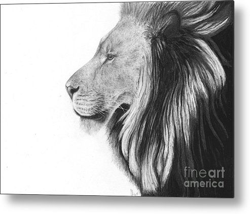 493x422 Lion Of Judah Metal Print - Lion Of Judah Drawing