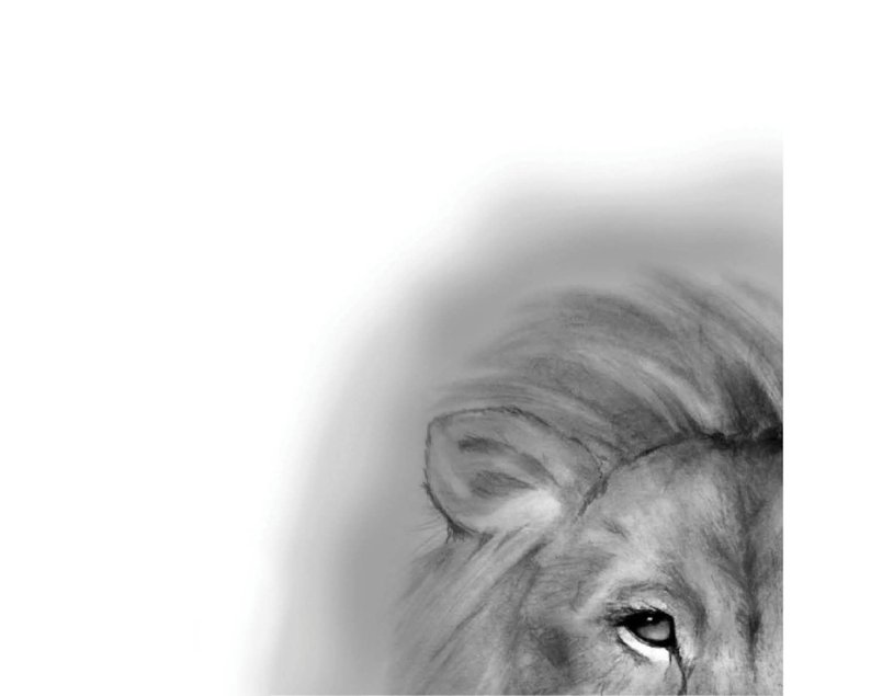 794x635 Lion Of Judah Pencil Drawing Instant Download Wall Decor Etsy - Lion Of Judah Drawing