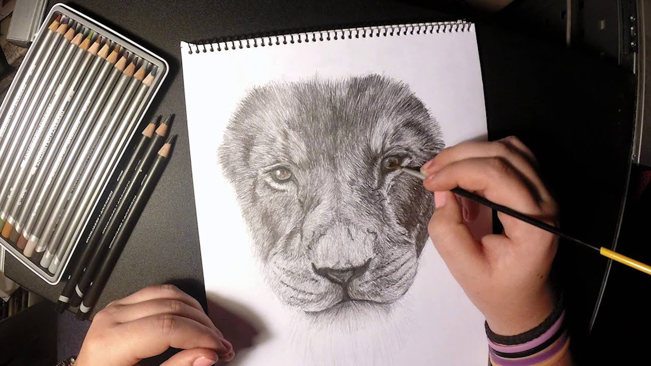 1280x720 Lion Of Judah Speed Drawing - Lion Of Judah Drawing