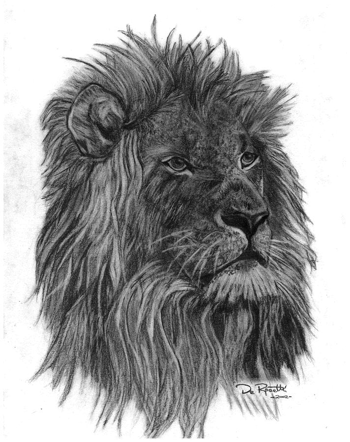 712x900 The Lion Of Judah Drawing - Lion Of Judah Drawing