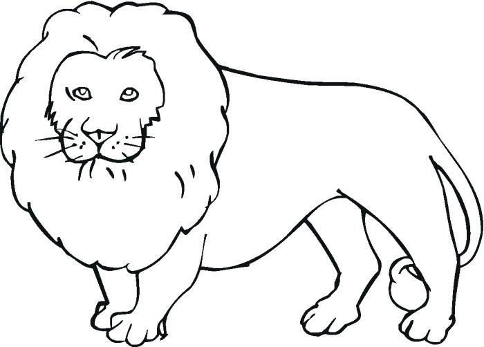 700x502 Lion Outline Drawing Clip Art Library Face License Personal Use Baby - Lion Outline Drawing