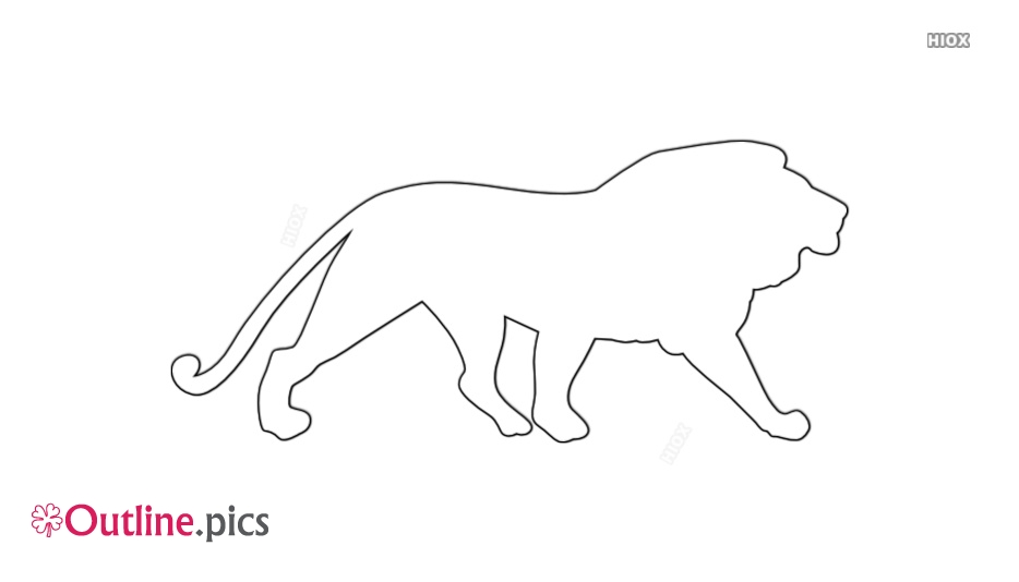 934x534 Lion Outline Drawing Images - Lion Outline Drawing