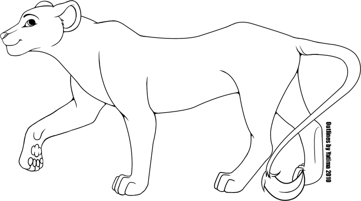 721x403 Photos Female Lion Outline - Lion Outline Drawing