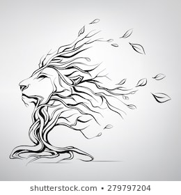 260x280 Lion Outline Drawing - Lion Outline Drawing