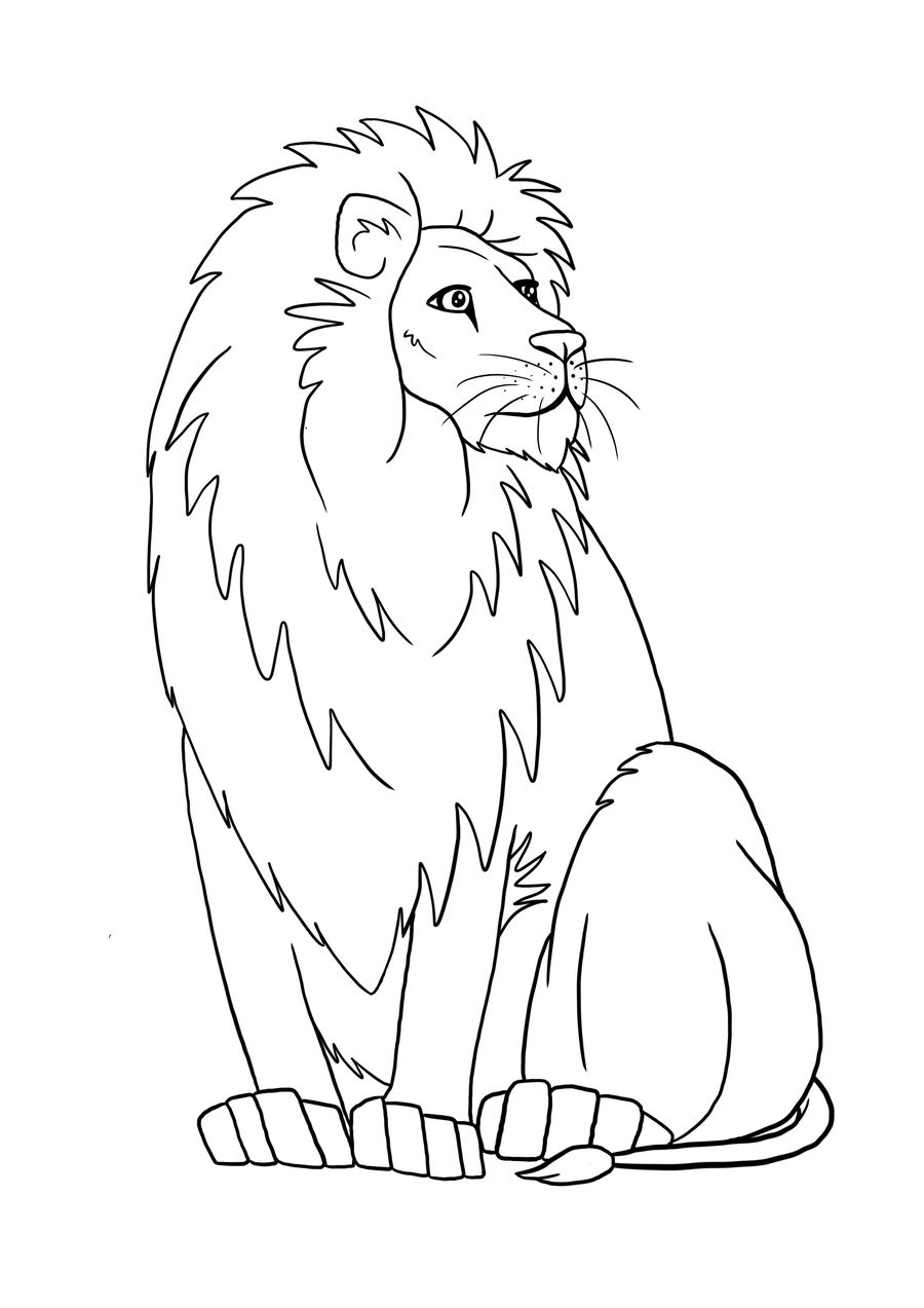 Lion Outline Drawing at Explore collection of Lion