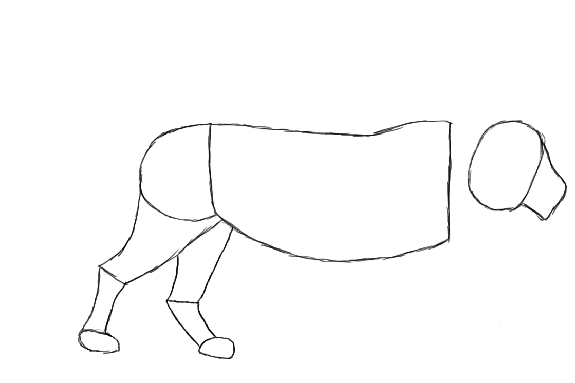 1119x746 How To Draw A Lion - Lion Paw Drawing