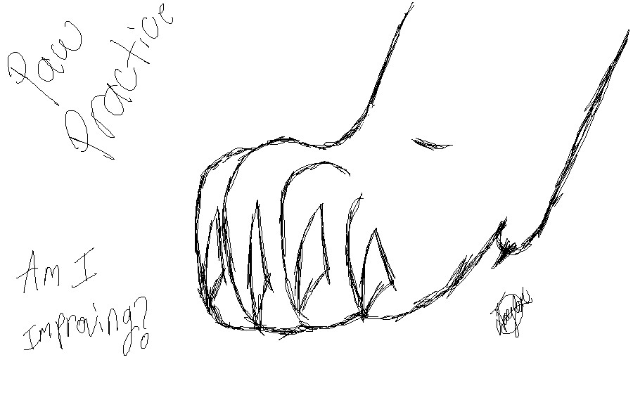 900x569 Claws Drawing Lion For Free Download - Lion Paw Drawing