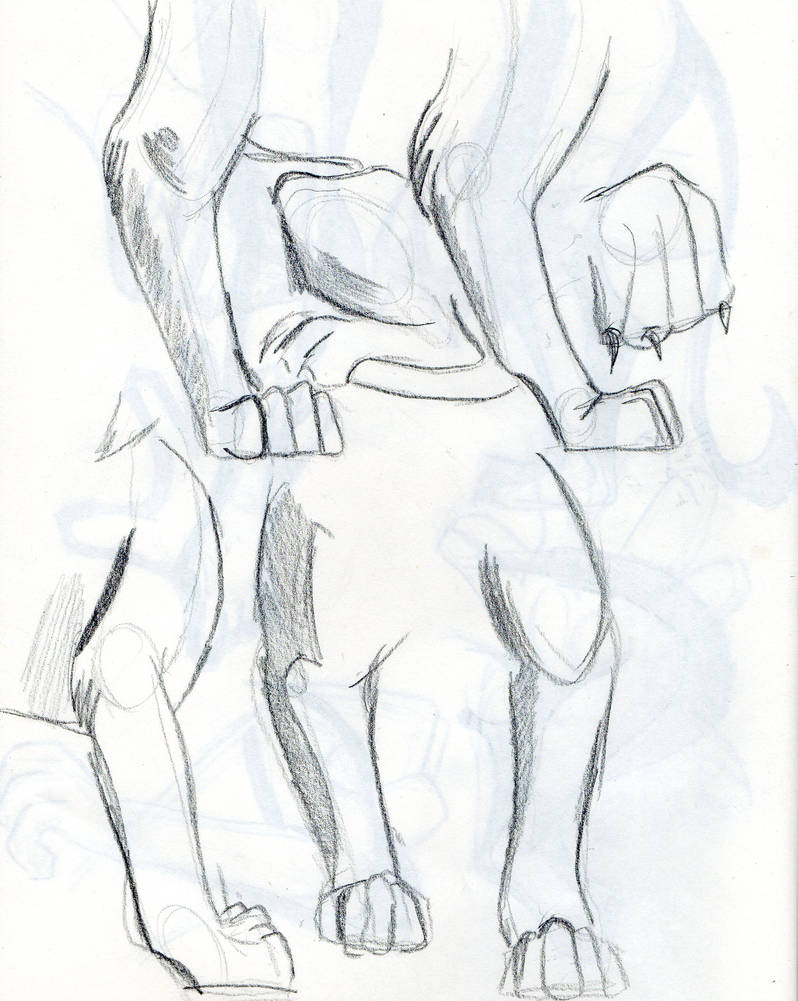 798x1001 Lion Paw And Legs Study - Lion Paw Drawing
