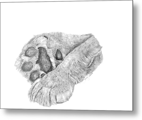600x509 Lion Paws Drawing - Lion Paw Drawing