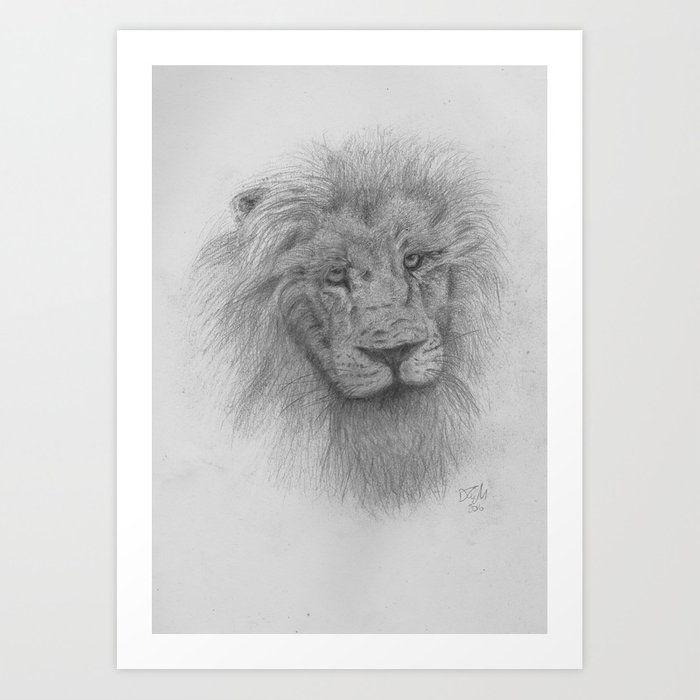 700x700 Lion Pencil Drawing Art Print - Lion Pencil Drawing