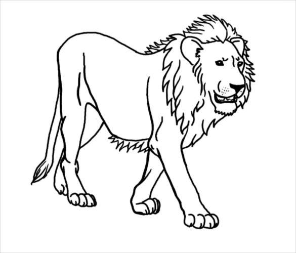 585x500 Lion Drawing Template Free Pdf Documents Download Free - Lion Pic Drawing