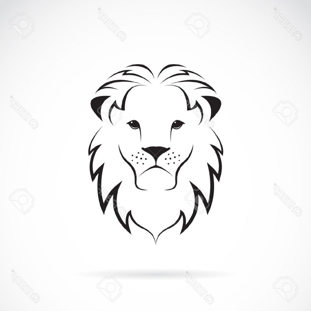 1024x1024 Lion Drawings Easy Sketch Simple Head Drawing Art Gallery - Lion Pic Drawing