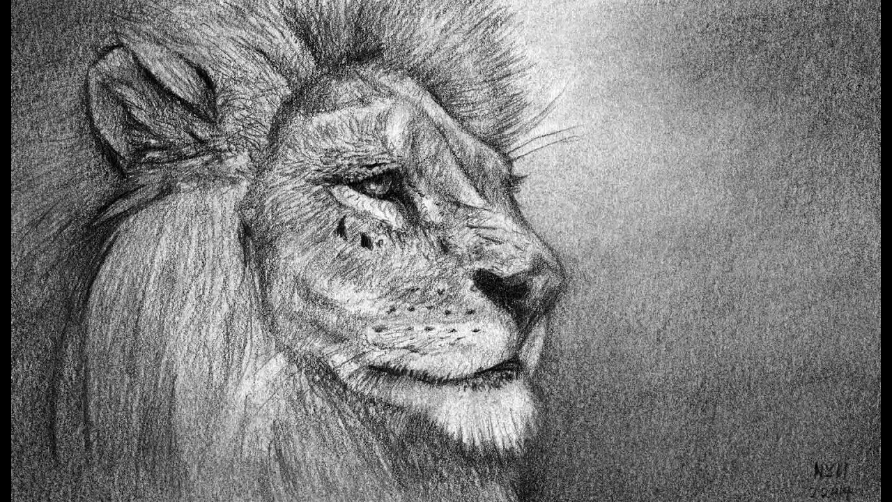 1280x720 How To Draw A Lion Portrait - Lion Portrait Drawing