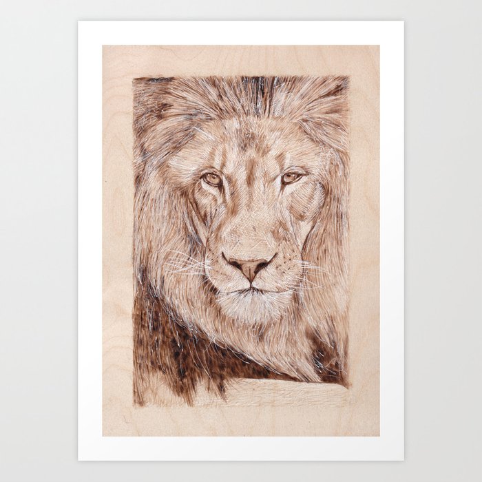 700x700 Lion Portrait - Lion Portrait Drawing