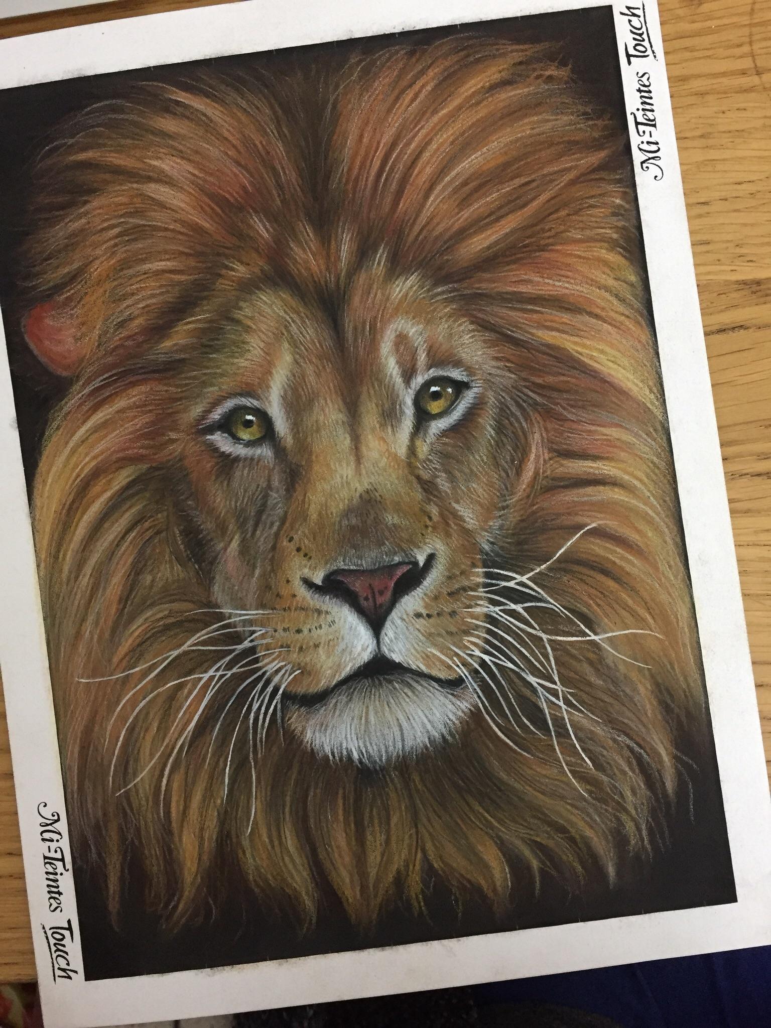 1536x2048 A Lion Portrait Drawing I Drew Up This Time Last Year Pics - Lion Portrait Drawing