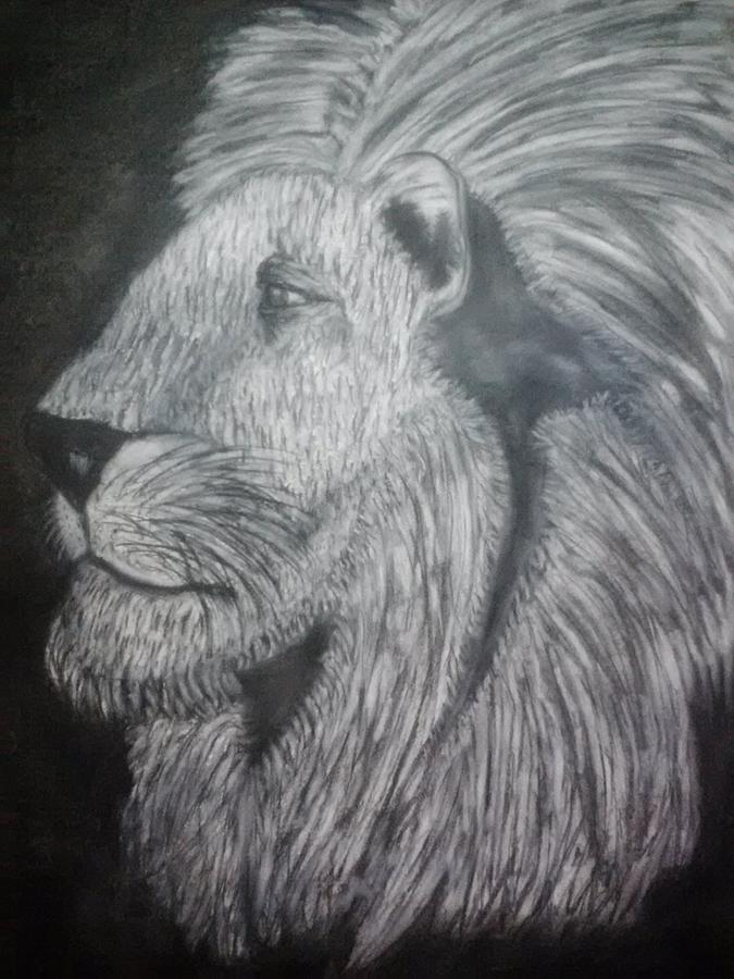 675x900 Lion Portrait Drawing - Lion Portrait Drawing