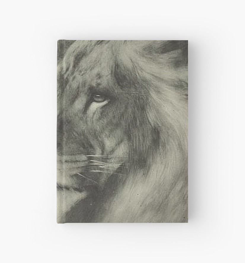 827x889 Amazing Vintage Lion Lioness Portrait Drawing Hardcover - Lion Portrait Drawing