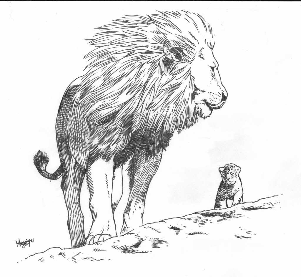 1023x941 lion's pride - Lion Pride Drawing