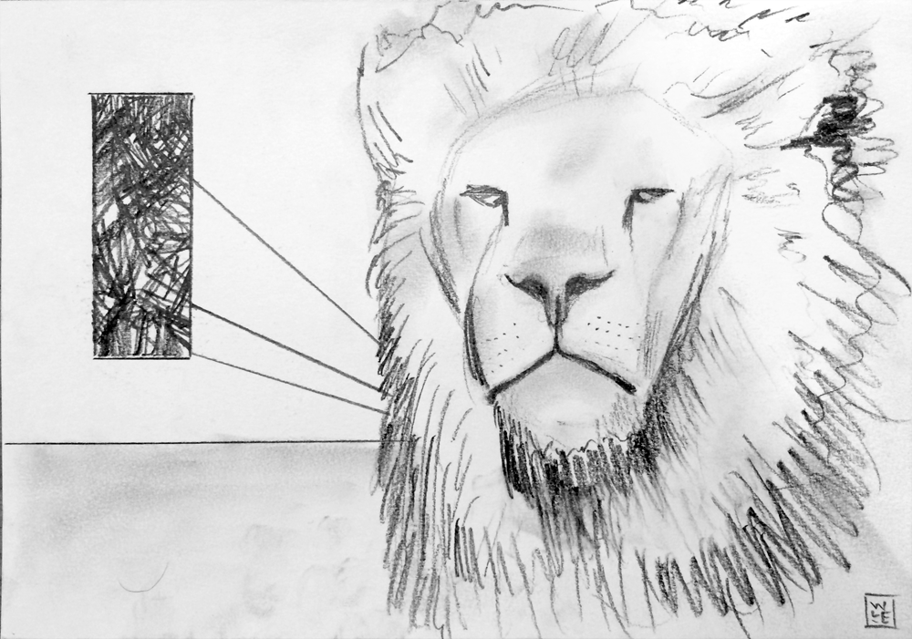 1000x701 lion's pride original drawing will lineberger eskridge - Lion Pride Drawing