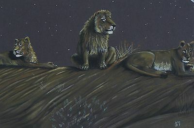 400x265 original pastel drawing of a kalahari lion pride - Lion Pride Drawing