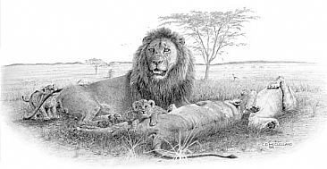 366x189 a pride of lions - Lion Pride Drawing