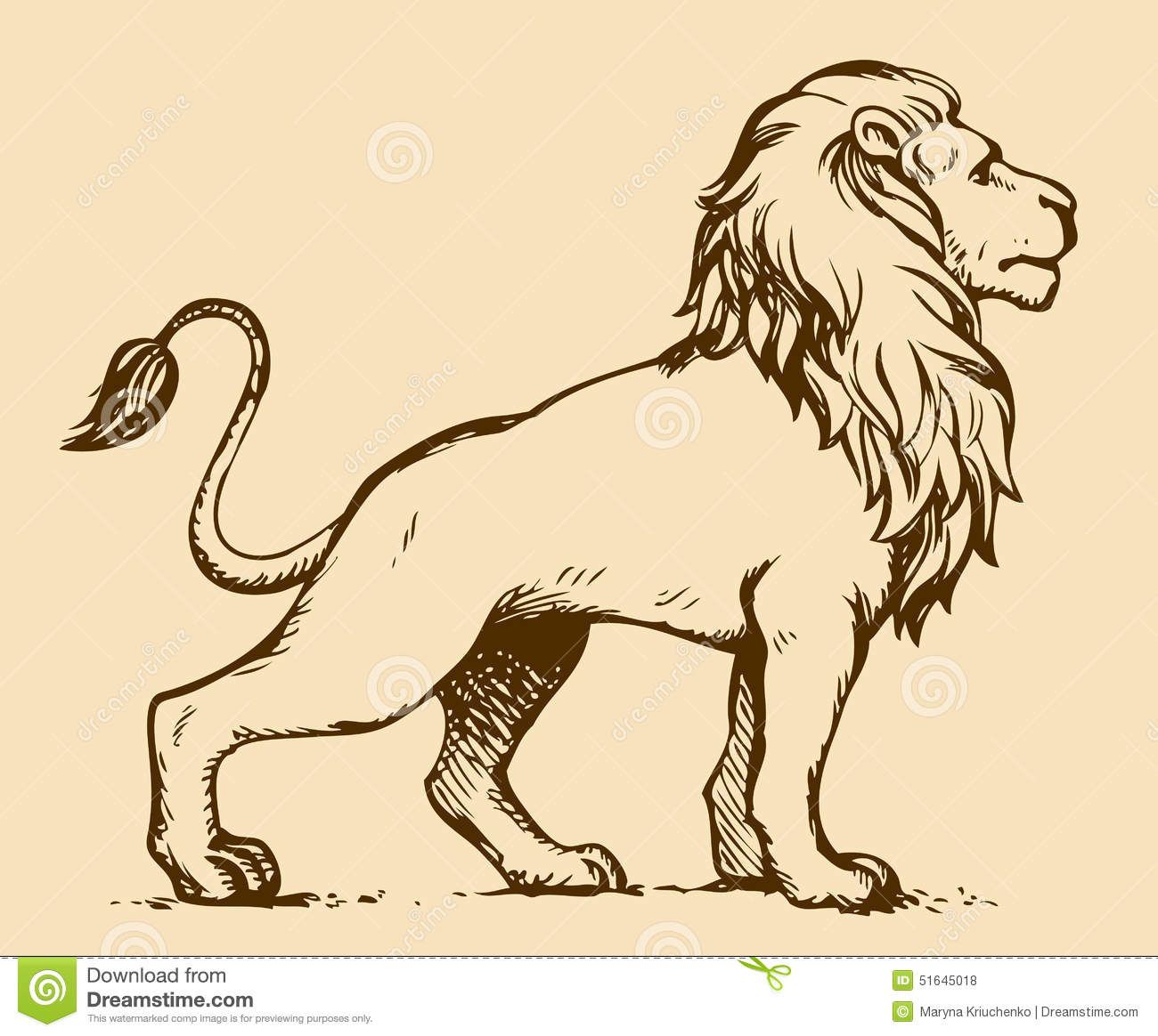 1300x1164 Image Result For Drawing Lion Standing - Lion Profile Drawing
