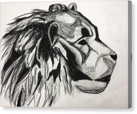 546x453 Lion Profile Drawing - Lion Profile Drawing