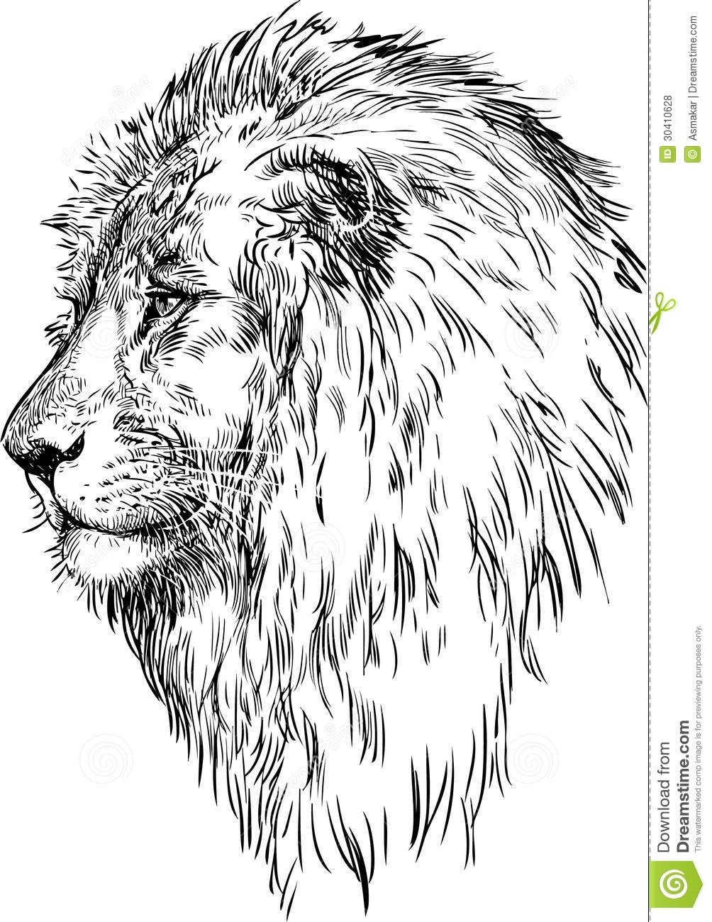 1004x1300 Lion Profile Drawing Danasrho Top Brenda Drawings, Tattoos, Lion - Lion Profile Drawing