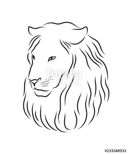 417x500 Lion Proud, Face In Profile, Looking Into The Distance, Sketch - Lion Profile Drawing