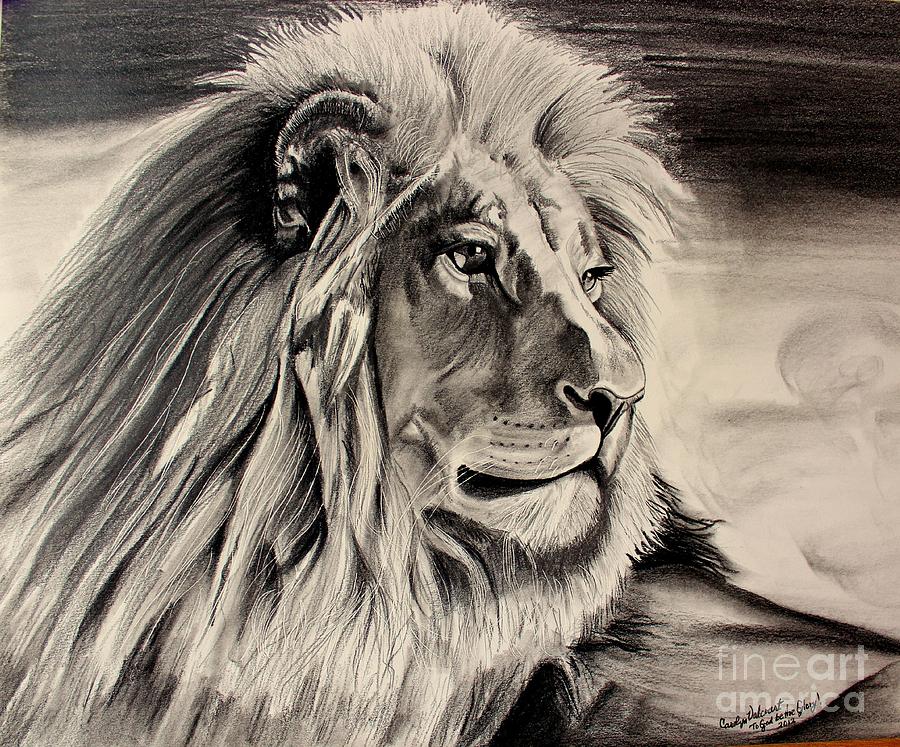 900x747 Eye Of The Lion Drawing - Lion Profile Drawing