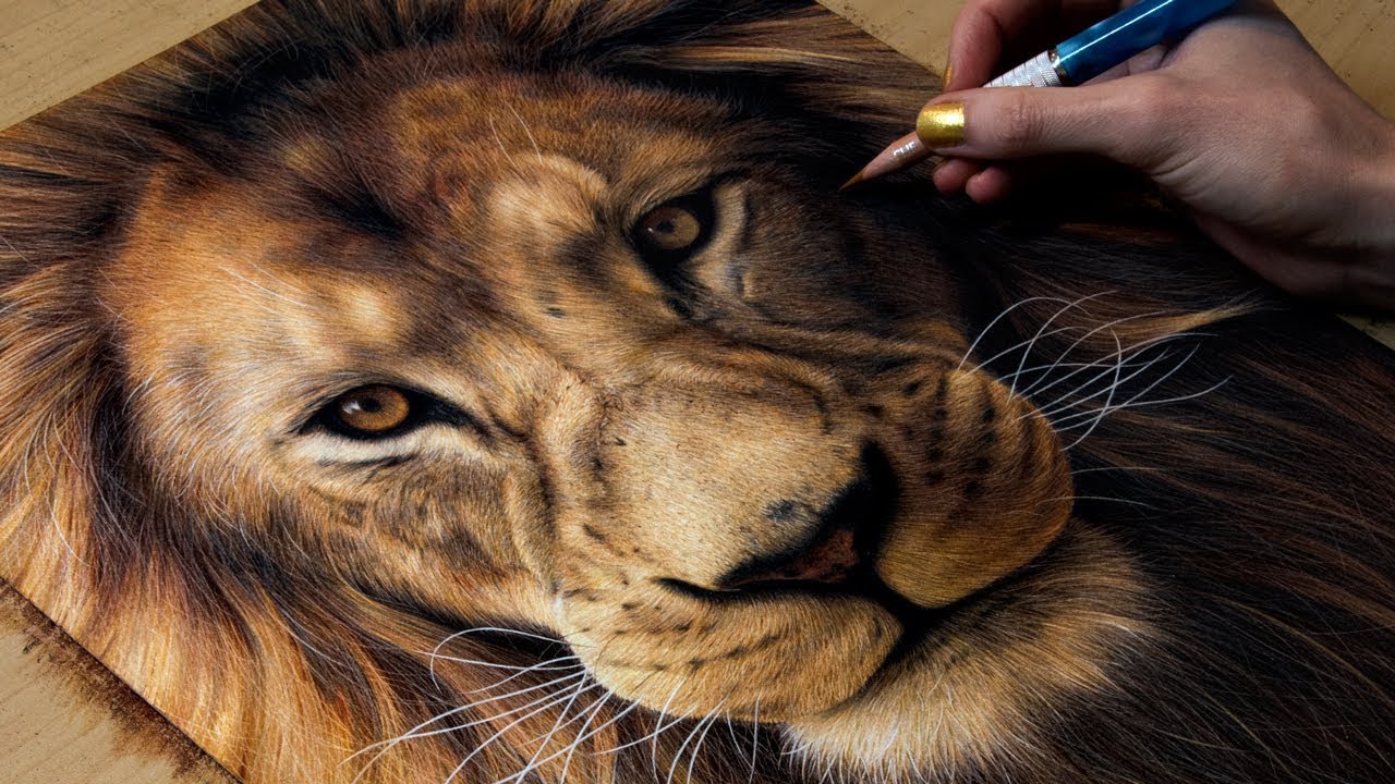1280x720 Drawing A Lion - Lion Realistic Drawing
